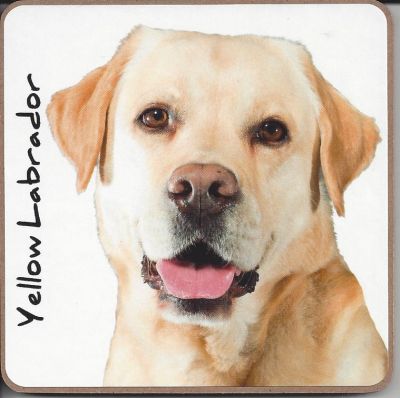 Labrador Dog Puppy Coaster - Dog Lovers 6 Designs 