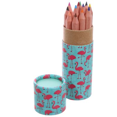 Flamingo Pencil Crayons in Tube 