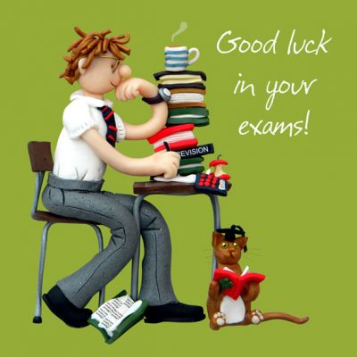 Good Luck in Your Exams Card - Male One Lump Or Two
