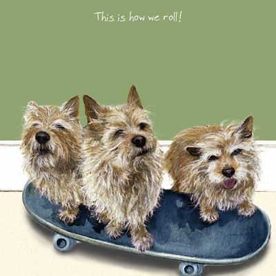 Greetings Card - Norwich Terrier - Skateboard The Little Dog