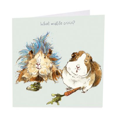 Birthday Card - What Midlife Crisis? - Guinea Pig - Gracie Tapner