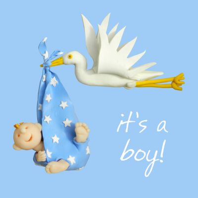 New Baby Card - It's A Boy Stork - One Lump Or Two
