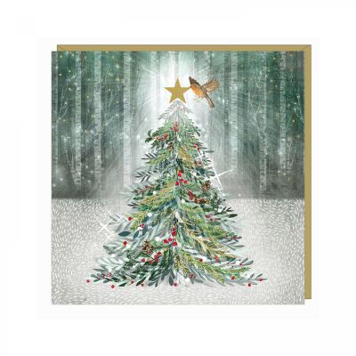 Charity Christmas Card Pack - 6 Cards - Evening Shimmer Xmas Tree - Shelter