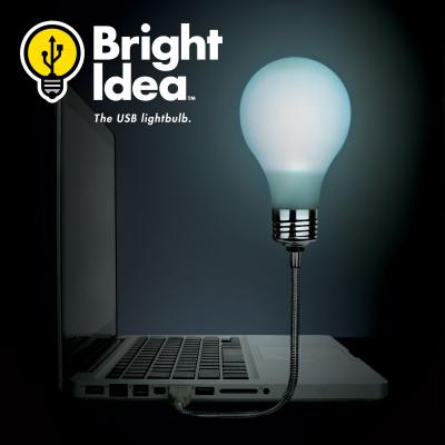 Bright Idea - USB Light Bulb Lamp