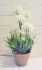 Allium Foliage In Pot Artificial Flower White - 42cm - Sincere