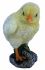 Chick - 2 Designs - Lifelike Garden Ornament - Indoor or Outdoor - Real Life Vivid Arts