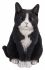 Vivid Arts Cat Sitting - Garden Ornament 20cm - Indoor or Outdoor - 4 Colours