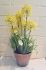 Allium Foliage In Pot Artificial Flower Yellow - 42cm - Sincere