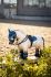 Lemieux Mini Toy Pony Dream - Dun