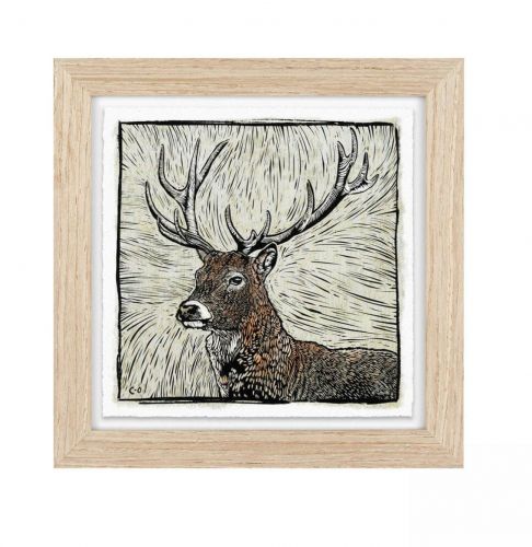Red Stag - Wall Art Print Framed - Charlotte Oakley
