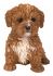 Cavapoo Puppy Dog - Lifelike Ornament Gift - Indoor or Outdoor - Pet Pals - 2 Colours Vivid Arts