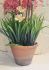 Allium Foliage In Pot Artificial Flower Pink - 42cm - Sincere