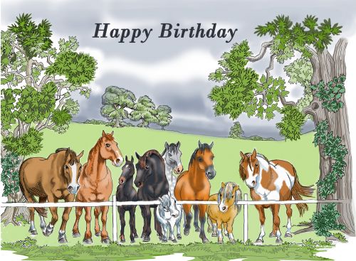 Birthday Card - Horses At Fence Equine Gathering - Gift Envy