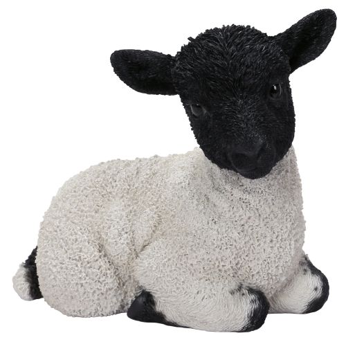 Vivid Arts Blackface Lamb Sheep Sitting - H17cm Lifelike Home Garden Ornament
