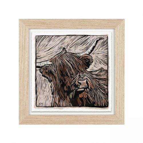 Highland Coo Cow - Wall Art Print Framed - Charlotte Oakley