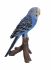 Budgerigar Budgie - Lifelike Ornament Gift - Indoor or Outdoor - Pet Pals Vivid Arts