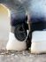 Lemieux Toy Pony Accessories - Capella Boots - Black - Set of 4