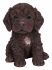 Cockapoo Puppy Dog - Lifelike Ornament Gift - Indoor or Outdoor - Pet Pals Vivid Arts