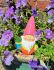 Garden Gnome Bright Shiny 3 Colours - Gift Envy