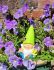 Garden Gnome Bright Shiny 3 Colours - Gift Envy