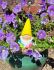 Garden Gnome Bright Shiny 3 Colours - Gift Envy