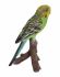 Budgerigar Budgie - Lifelike Ornament Gift - Indoor or Outdoor - Pet Pals Vivid Arts