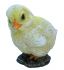 Chick - 2 Designs - Lifelike Garden Ornament - Indoor or Outdoor - Real Life Vivid Arts