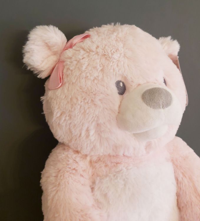 teddy bear that sings you are my sunshine