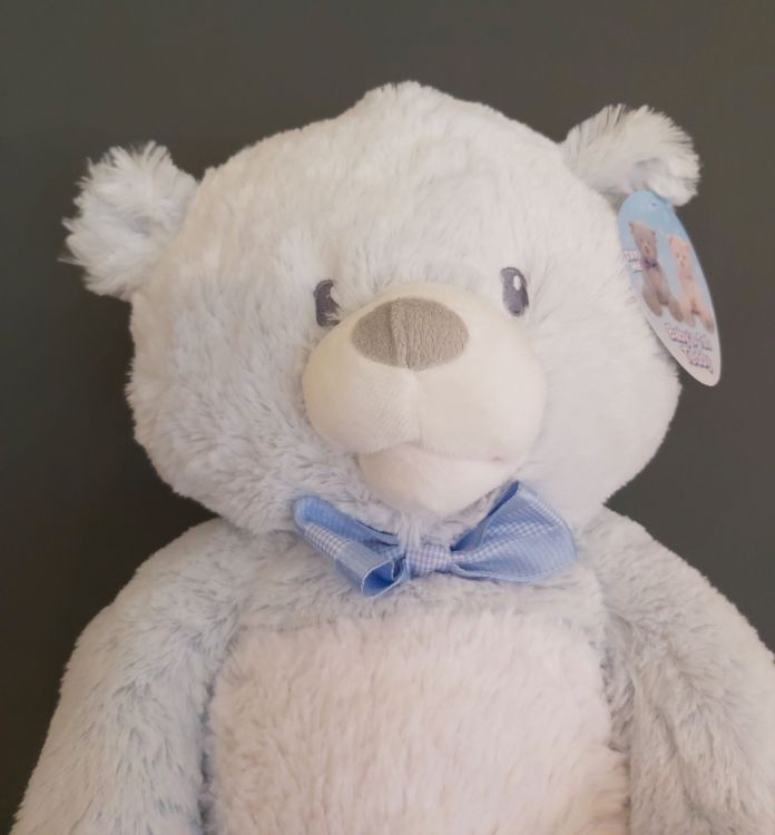 teddy bear that sings you are my sunshine