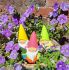Garden Gnome Bright Shiny 3 Colours - Gift Envy