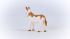 American Spotted Donkey Figure - Farm World - Schleich - 13961