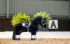 Lemieux Mini Toy Pony Accessories - White/Black Dressage Numnah Saddle Pad