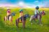 Horse Picnic Adventure Playset & Accessories - 71239 - Playmobil