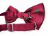 Christmas Tree Red Bowtie - Boxed - Snazzy Santa