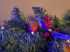 Christmas LED Robin Mixed Pine & Berry Garland - Artificial - Sage Decor
