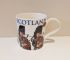 Cadbury's Hot Chocolate & Scottish Bagpiper Mug Gift Set