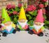 Garden Gnome Bright Shiny 3 Colours - Gift Envy