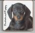 Dachshund Dog or Puppy Coaster - Dog Lovers - 2 Designs 