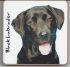 Labrador Dog Puppy Coaster - Dog Lovers 6 Designs 