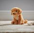 Golden Retriever Dog Plush Soft Toy - 20cm - Living Nature