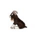 Goat Brown Billy Farm Plush Soft Toy - 20cm - Living Nature