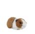 Guinea Pig Plush Soft Toy with Sound - Living Nature - 2 Colours