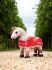 Lemieux Toy Pony Accessories - Winner Champions Red Rug