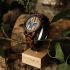 Alder Woodlink Zebrano Wood Mens Watch - Botanica