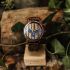 Alder Woodlink Zebrano Wood Mens Watch - Botanica