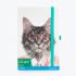 Cat Go Wild A5 Notebook & Pen Holder