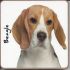 Beagle Dog or Puppy Coaster - Dog Lovers - 2 Designs 