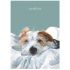 Scruffy Love Wire Hair Jack Russell Tea Towel - The Little Dog