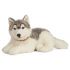 Giant Husky Dog Plush Soft Toy - 60cm - Living Nature