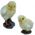 Chick - 2 Designs - Lifelike Garden Ornament - Indoor or Outdoor - Real Life Vivid Arts